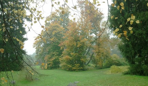 Herbststimmung Sanssouci