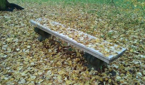 Herbststimmung Sanssouci